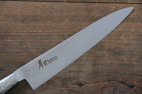 Sakai Takayuki INOX PRO Molybdenum Petty-Utility 150mm - Seisuke Knife