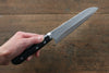 Seisuke VG1 Japanese Santoku 165mm & Petty 135mm Pakka wood Handle - Seisuke Knife - Slide 10