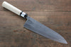 Fujiwara Teruyasu White Steel No.1 Nashiji Gyuto 210mm with Magnolia Handle - Seisuke Knife - Slide 1