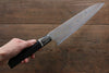 Takeshi Saji Blue Steel No.2 Colored Damascus Gyuto 240mm Ebony with Ring Handle - Seisuke Knife