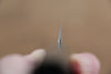 Seisuke VG10 Sakimaru Takohiki 300mm Live oak Lacquered (Kamon) Handle - Seisuke Knife - Slide 10