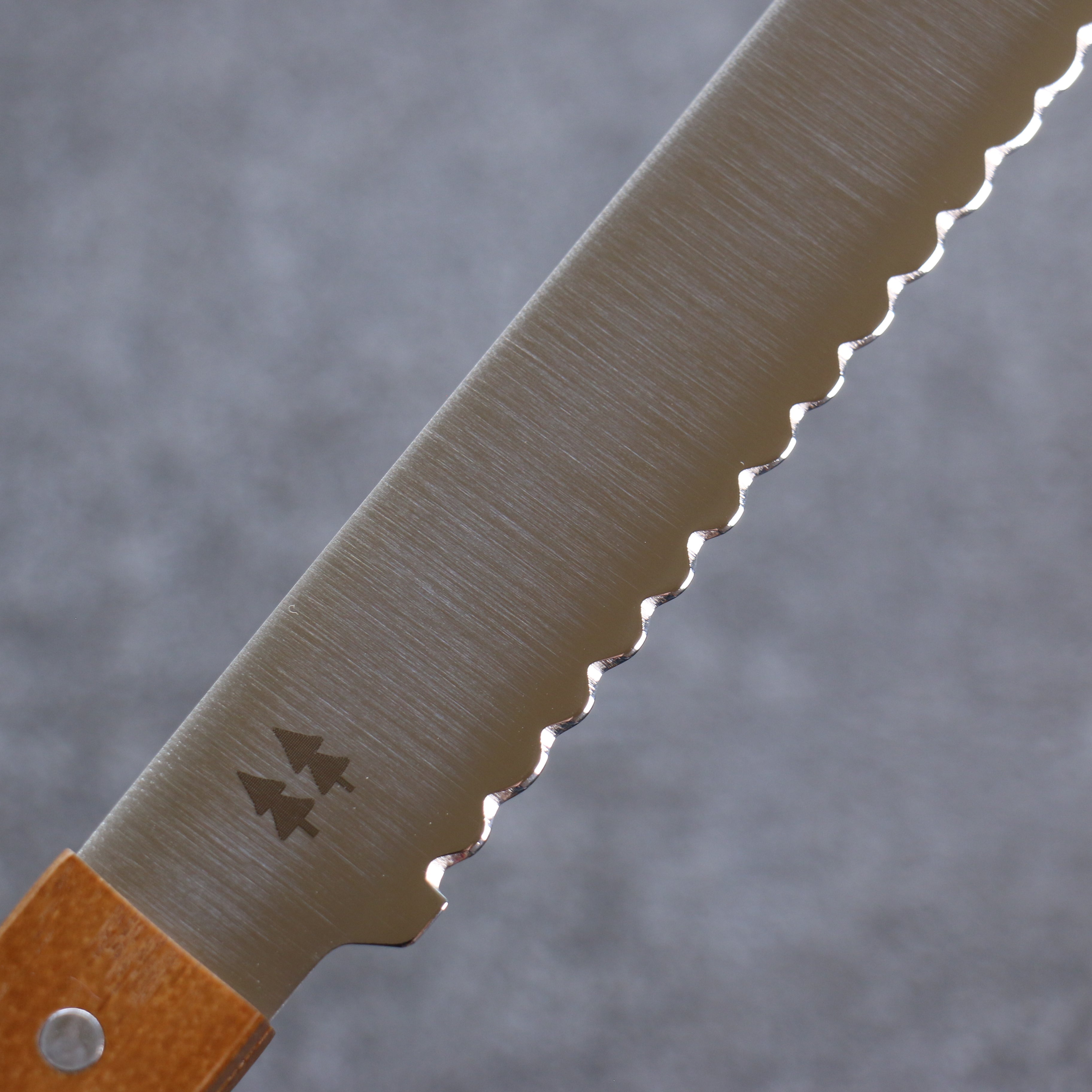 Miyako Morinoki DSR-1K6 Bread Slicer 240mm - Seisuke Knife