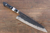 Fujiwara Teruyasu Denka Blue Super Black Finished Gyuto 210mm with Black Pakkawood Handle - Seisuke Knife - Slide 1