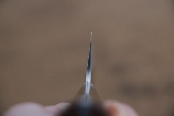 Takeshi Saji Blue Super Kurouchi Hammered Santoku 165mm with Ironwood Handle - Seisuke Knife