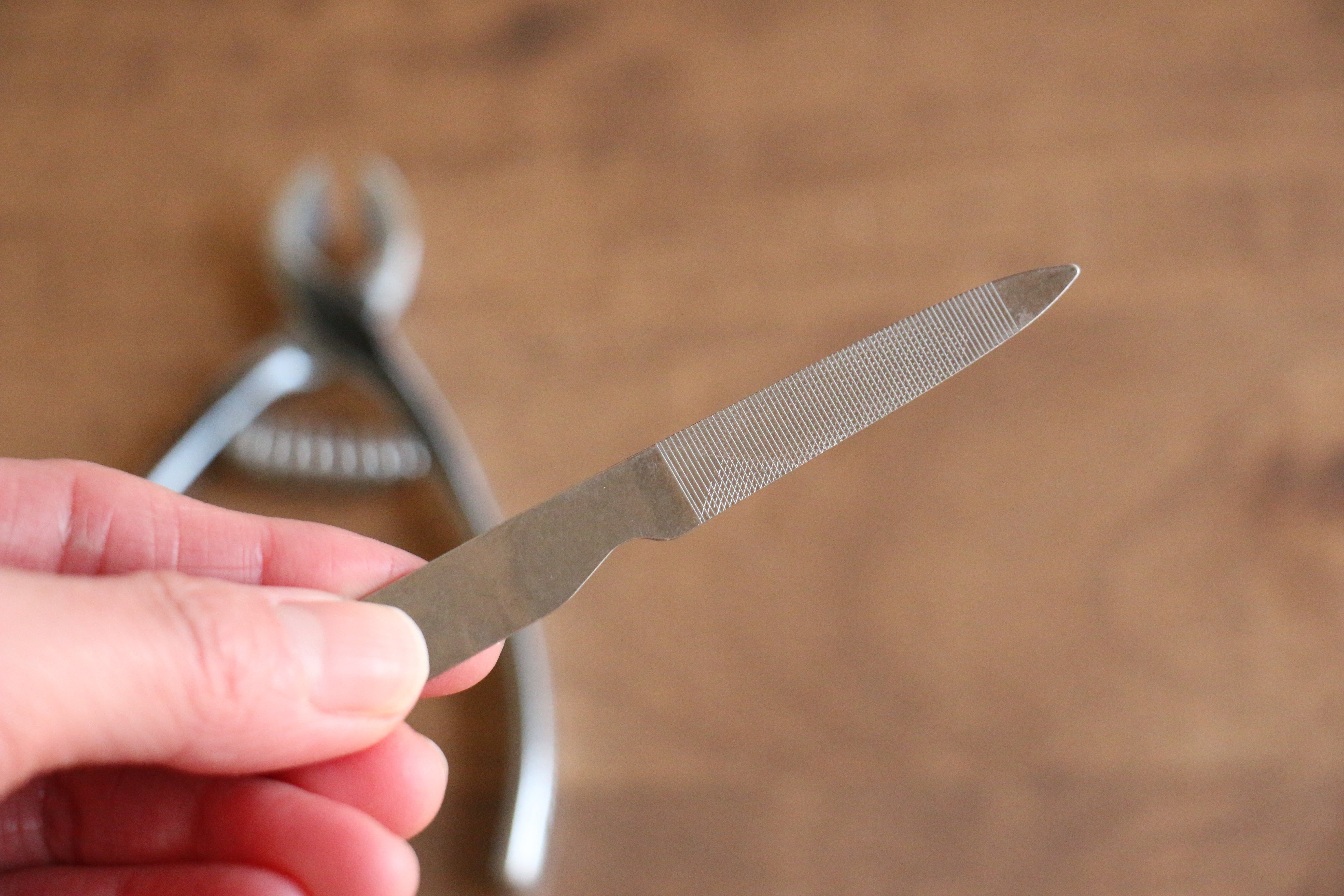 Clover Mark High Carbon Steel Side-Angled Nail Clippers - Seisuke Knife