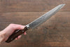 Takeshi Saji SRS13 Hammered Damascus Kengata Gyuto 240mm Ironwood Handle - Seisuke Knife - Slide 8