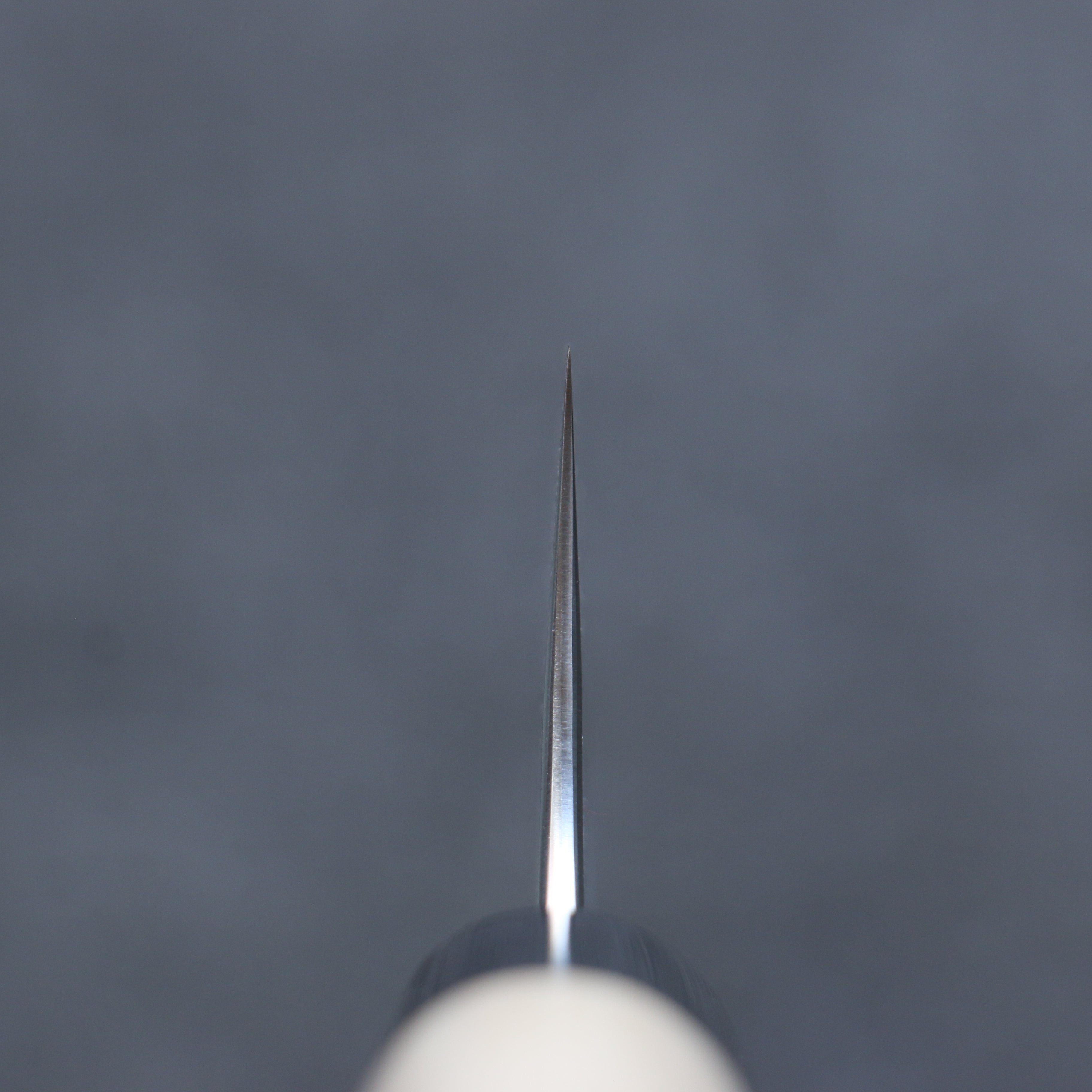 Yoshimi Kato White Steel Black Gyuto 210mm Magnolia Handle - Seisuke Knife