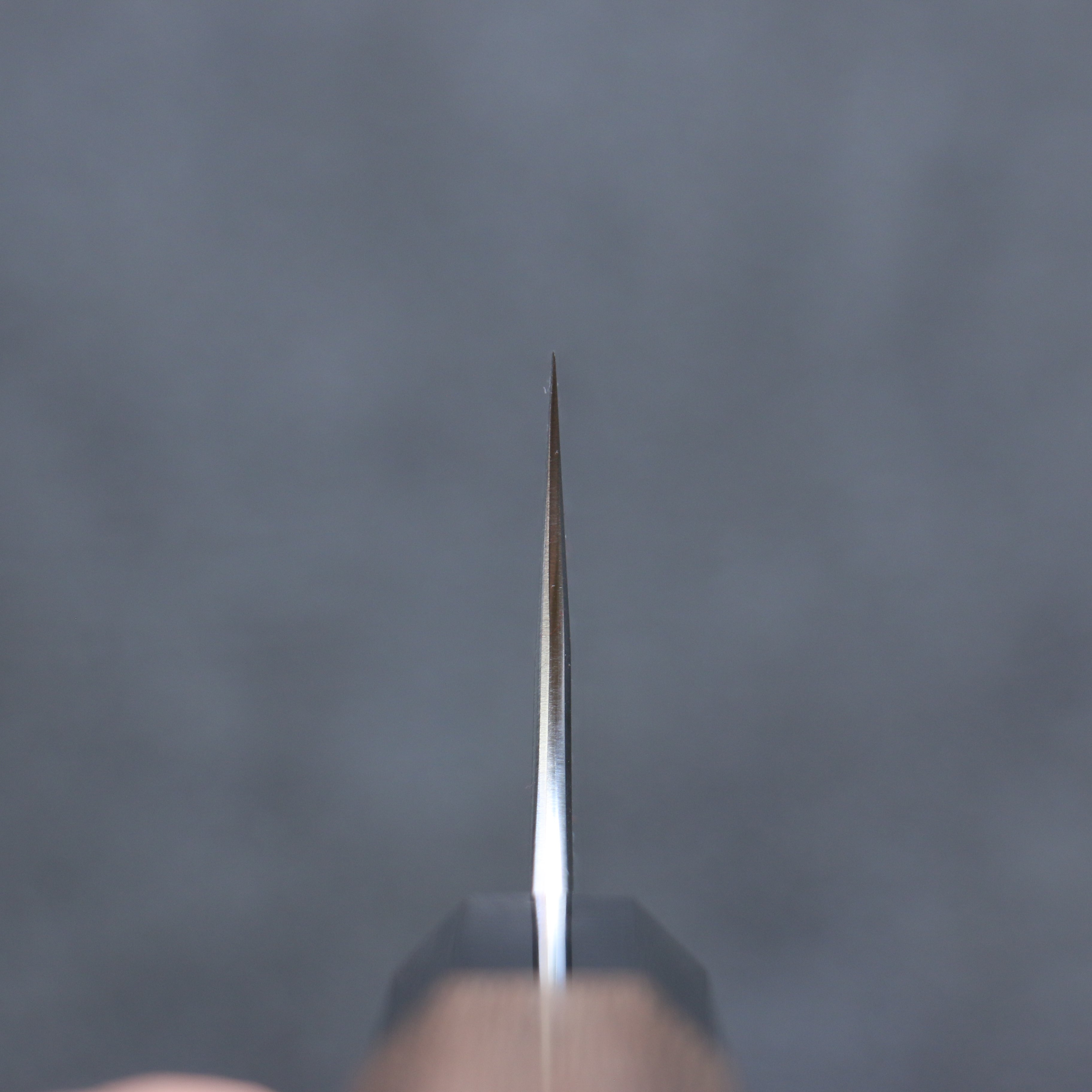 Yoshimi Kato White Steel Black Gyuto 210mm Wenge Handle - Seisuke Knife