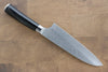 Takeshi Saji SRS13 Hammered Santoku 180mm Black Pakka wood Handle - Seisuke Knife - Slide 2