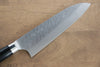 Takeshi Saji SRS13 Hammered Santoku 180mm Black Pakka wood Handle - Seisuke Knife - Slide 3