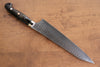 Yu Kurosaki Senko Ei SG2 Hammered Gyuto 210mm Black Acrylic Handle - Seisuke Knife - Slide 2