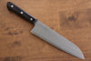 Seisuke Budou Silver Steel No.3 Nashiji Santoku 180mm Purple Pakka wood Handle - Seisuke Knife - Slide 1