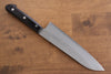 Seisuke Budou Silver Steel No.3 Nashiji Santoku 180mm Purple Pakka wood Handle - Seisuke Knife - Slide 2