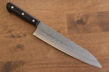  Seisuke Budou Silver Steel No.3 Nashiji Gyuto 210mm Purple Pakka wood Handle - Seisuke Knife