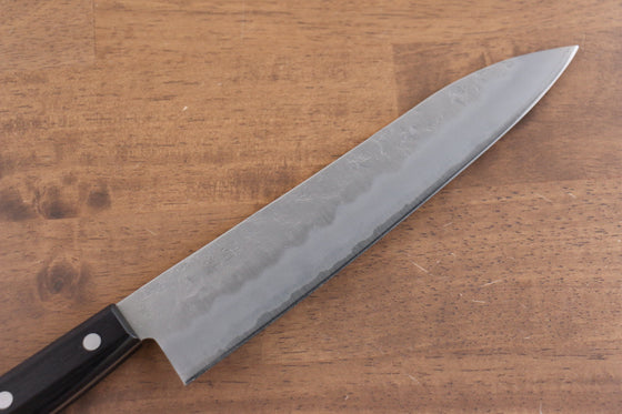 Seisuke Budou Silver Steel No.3 Nashiji Gyuto 210mm Purple Pakka wood Handle - Seisuke Knife