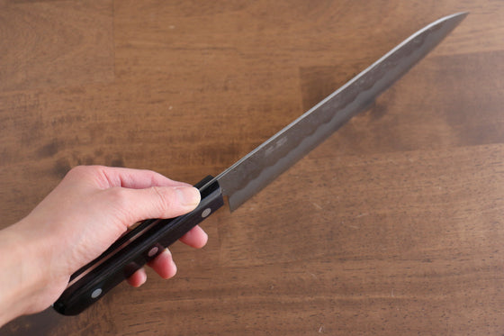 Seisuke Budou Silver Steel No.3 Nashiji Gyuto 210mm Purple Pakka wood Handle - Seisuke Knife