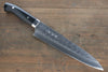 Takeshi Saji SRS13 Hammered Gyuto 240mm Black Micarta Handle - Seisuke Knife - Slide 1