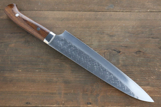 Takeshi Saji SRS13 Hammered Gyuto 240mm Ironwood Handle - Seisuke Knife