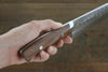 Takeshi Saji SRS13 Hammered Gyuto 240mm Ironwood Handle - Seisuke Knife - Slide 4