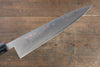 Takeshi Saji Blue Steel No.2 Colored Damascus Gyuto 210mm Silver Lacquered Handle - Seisuke Knife