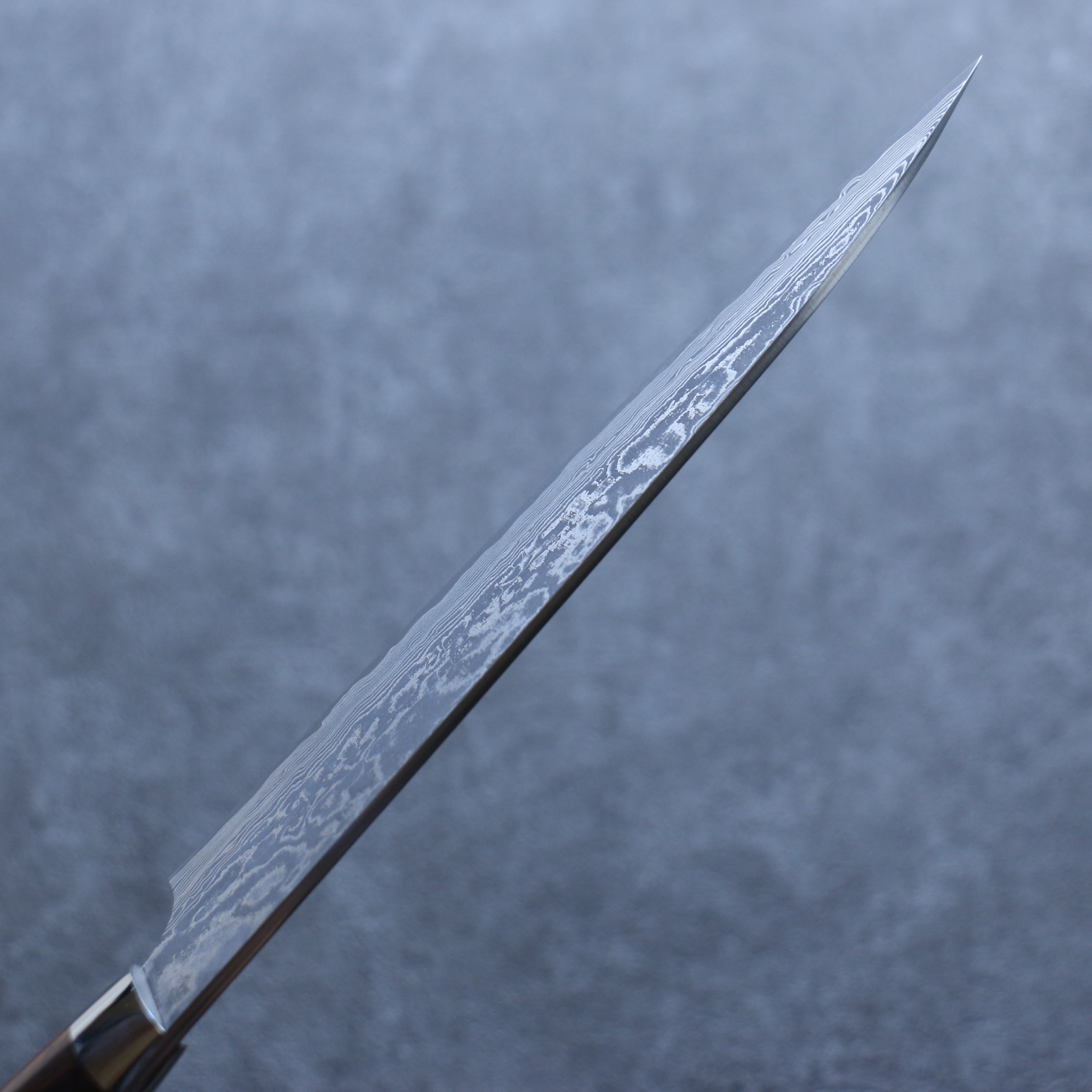 Takeshi Saji SG2 Black Damascus Gyuto 180mm Ironwood Handle - Seisuke Knife