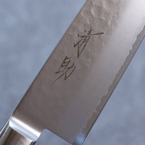 Seisuke VG5 Hammered Kasumitogi Gyuto 240mm Black Pakka wood Handle - Seisuke Knife