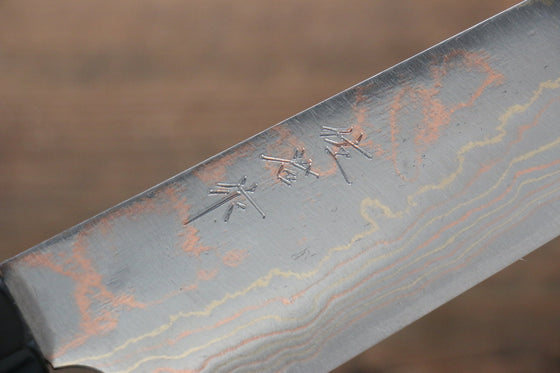 Takeshi Saji Blue Steel No.2 Colored Damascus Gyuto 210mm Ebony with Ring Handle - Seisuke Knife