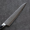 Seisuke VG5 Hammered Kasumitogi Petty-Utility 150mm Black Pakka wood Handle - Seisuke Knife