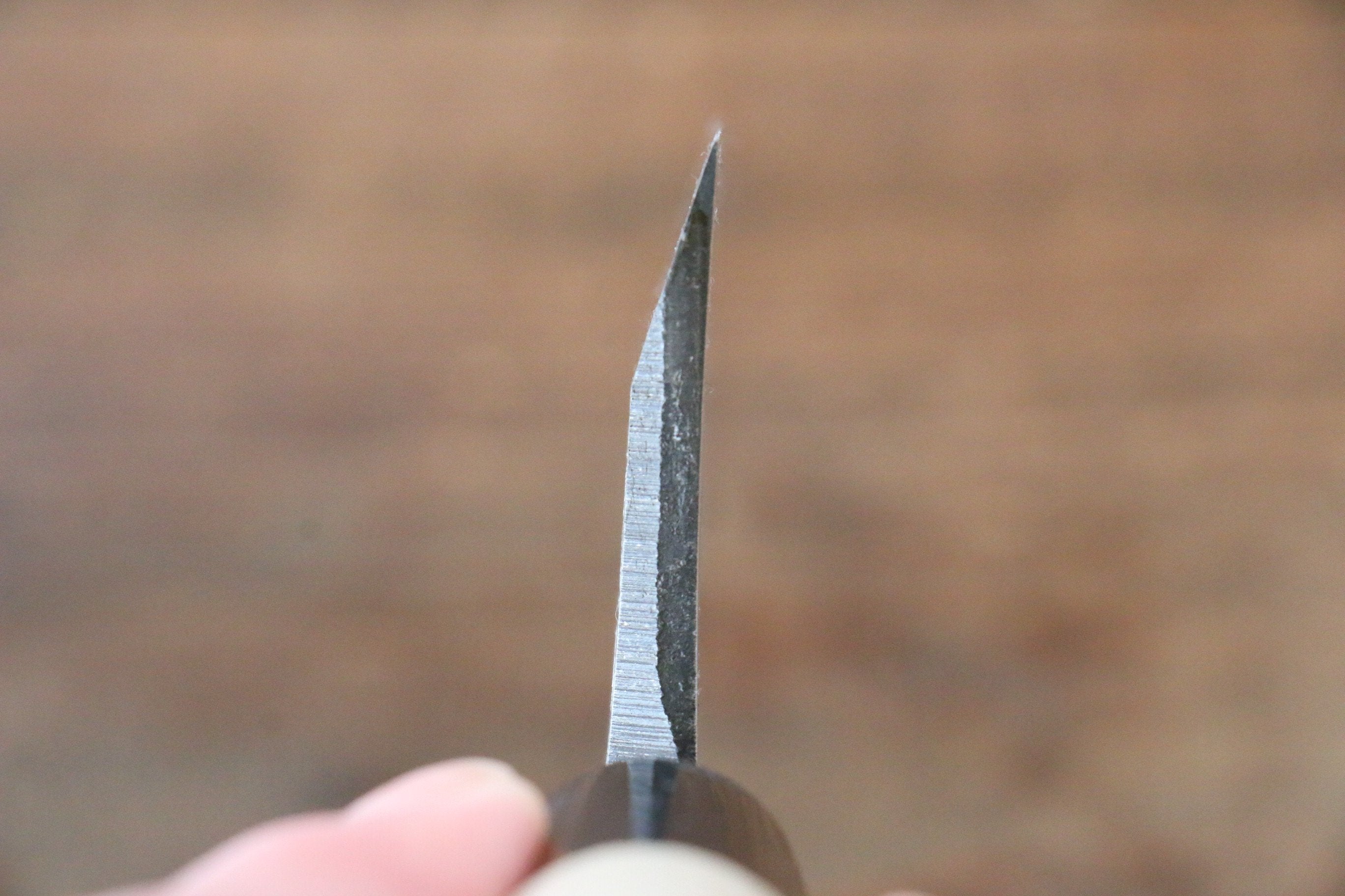 Sakai Takayuki Kasumitogi White Steel Ittouryumon Engraved Deba - Seisuke Knife
