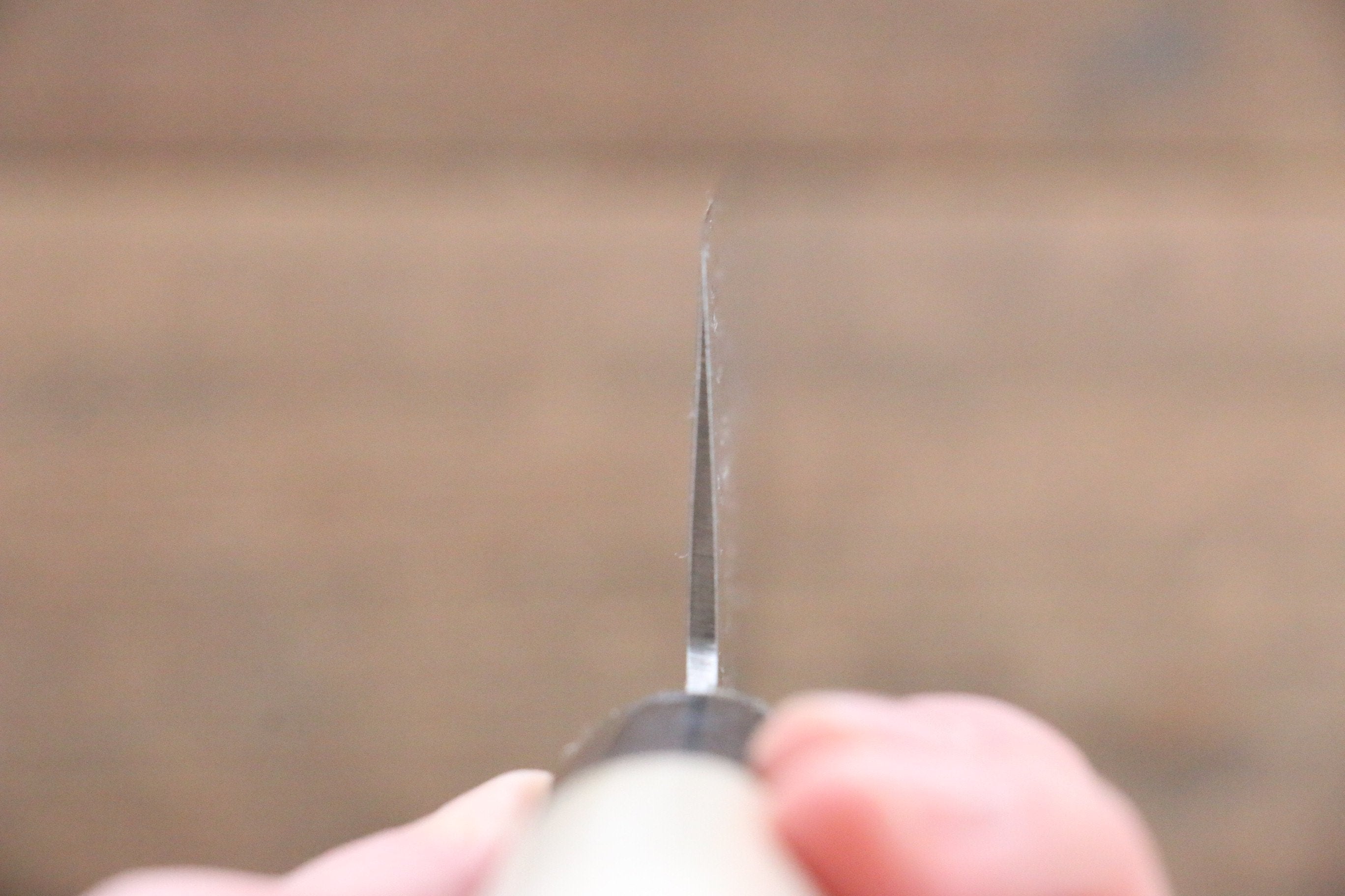Sakai Takayuki 45 Layer Damascus AUS10 Stain Resistant Steel Gyuto Japanese Chef Knife 240mm - Seisuke Knife