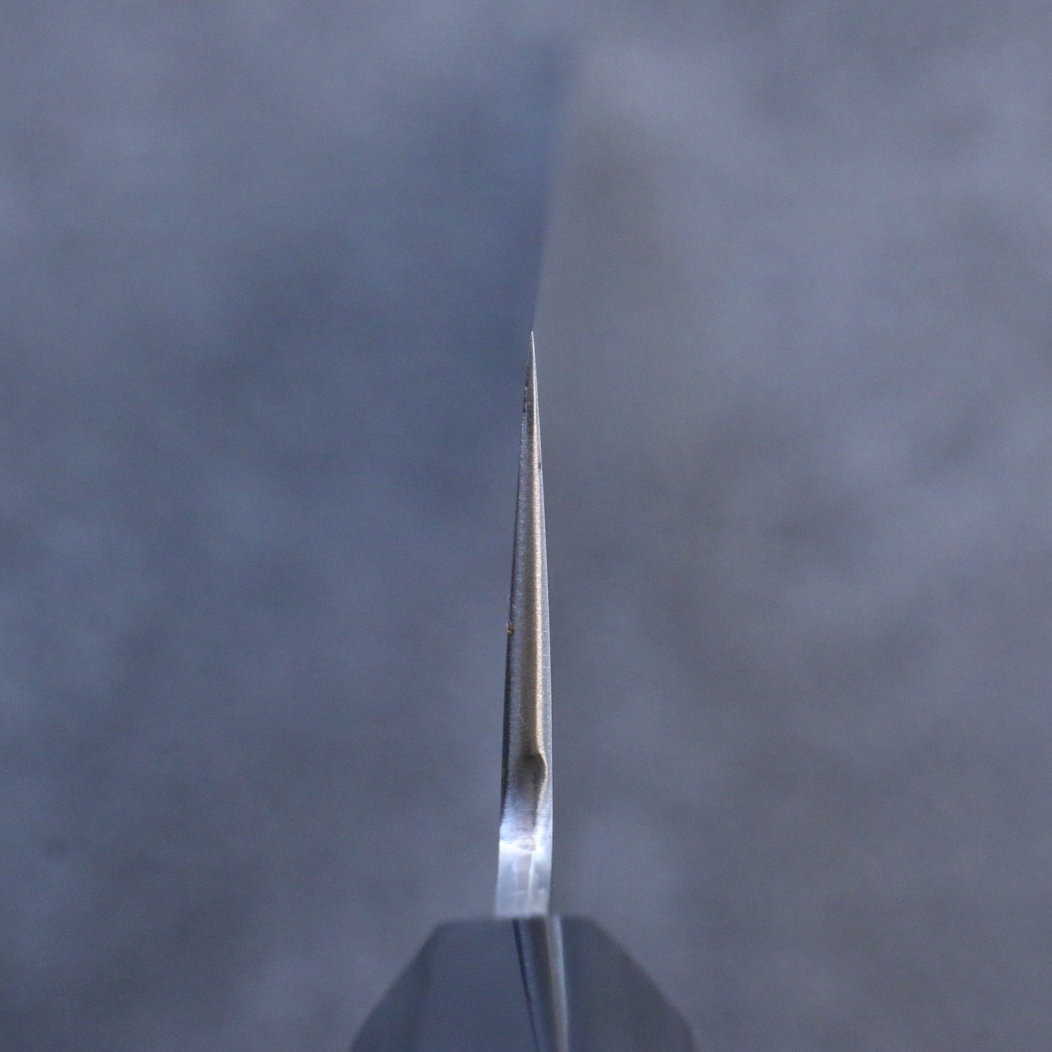 Kikuzuki Silver Steel No.3 Bokashi Kiritsuke Gyuto  270mm Magnolia Handle - Seisuke Knife