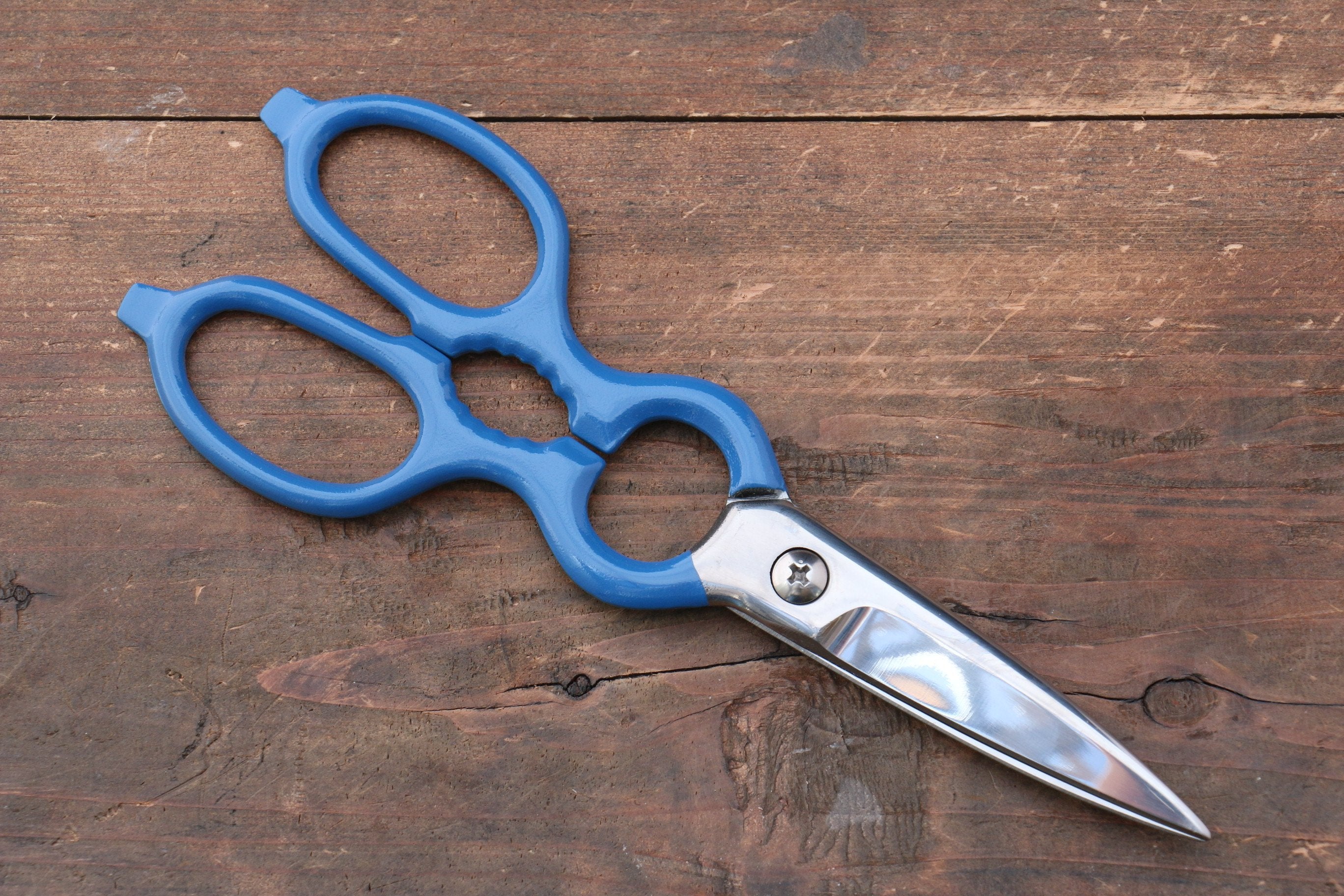 MT INOX Stainless Steel Scissors Blue Handle - Seisuke Knife