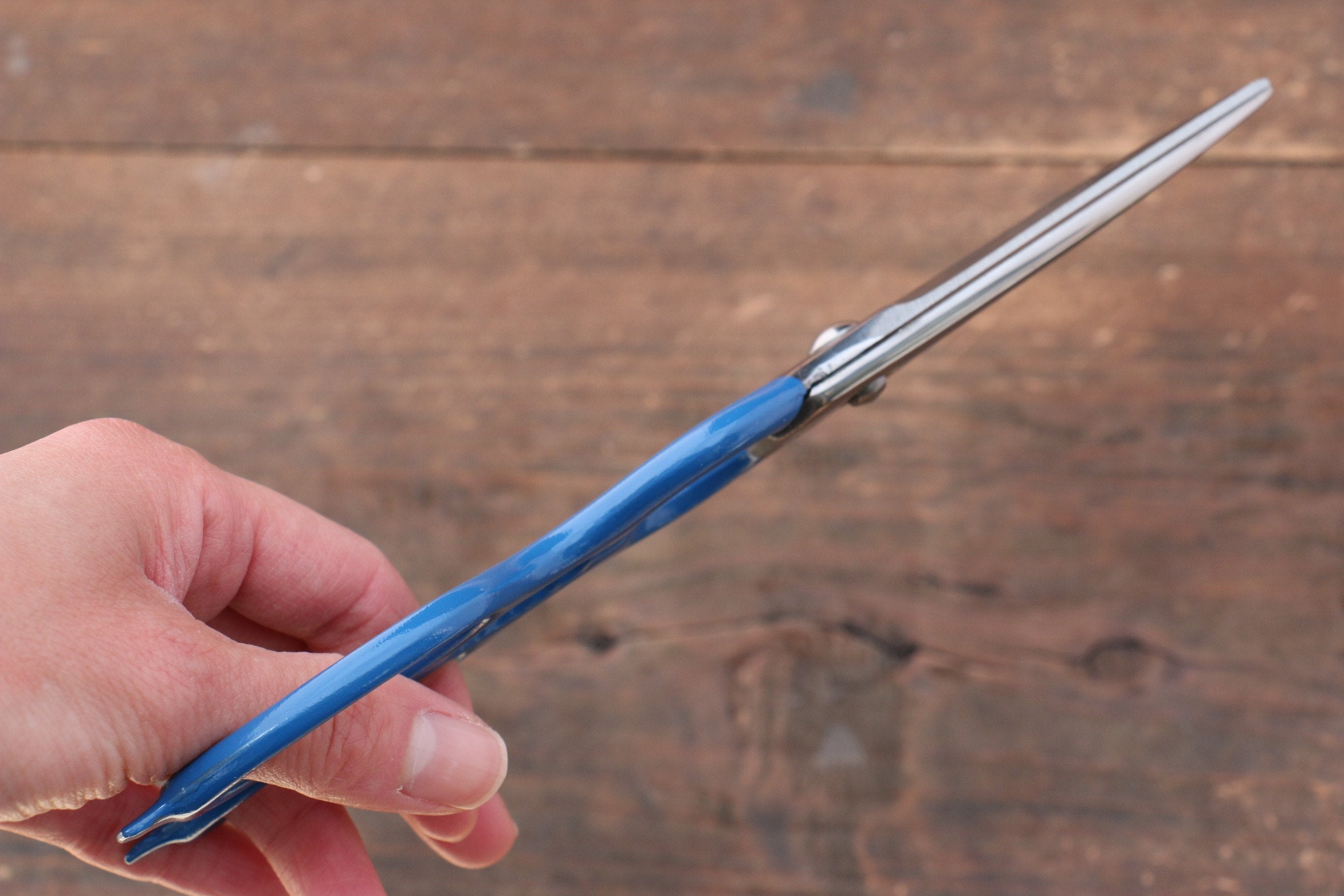 MT INOX Stainless Steel Scissors Blue Handle - Seisuke Knife