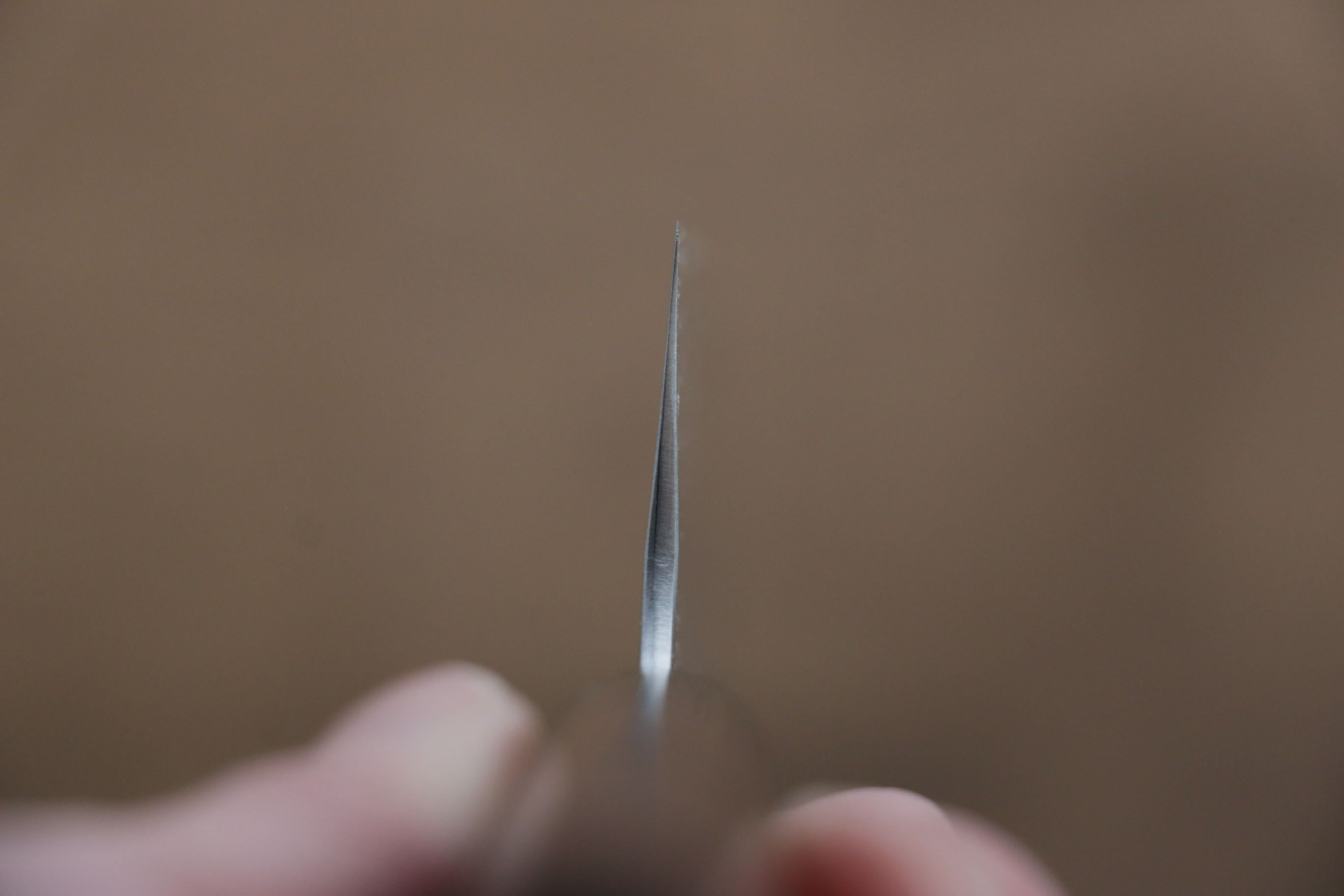 Shungo Ogata SG2 Sujihiki 240mm Shitan Handle - Seisuke Knife