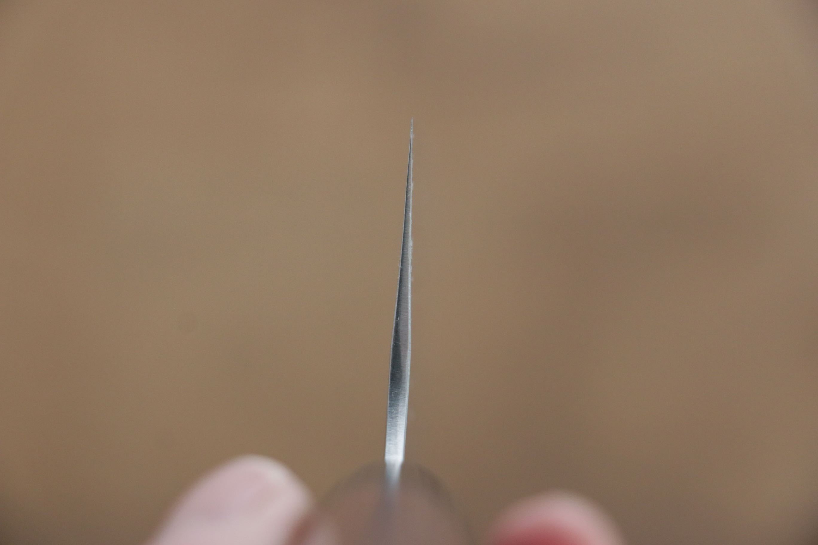 Shungo Ogata SG2 Bunka 180mm Shitan Handle - Seisuke Knife