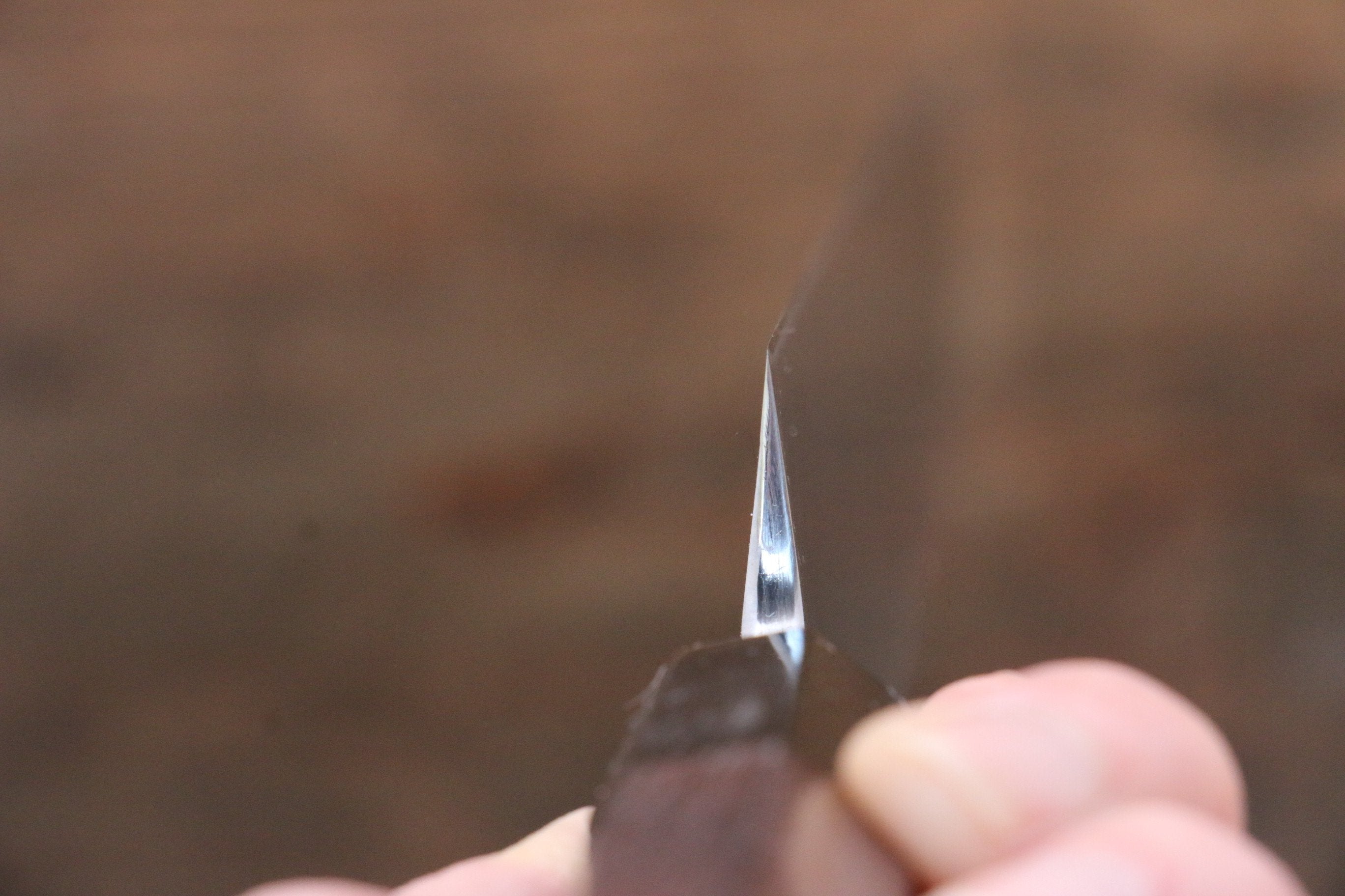 Sukenari SG2 2 Layer Yanagiba 300mm Shitan Handle - Seisuke Knife