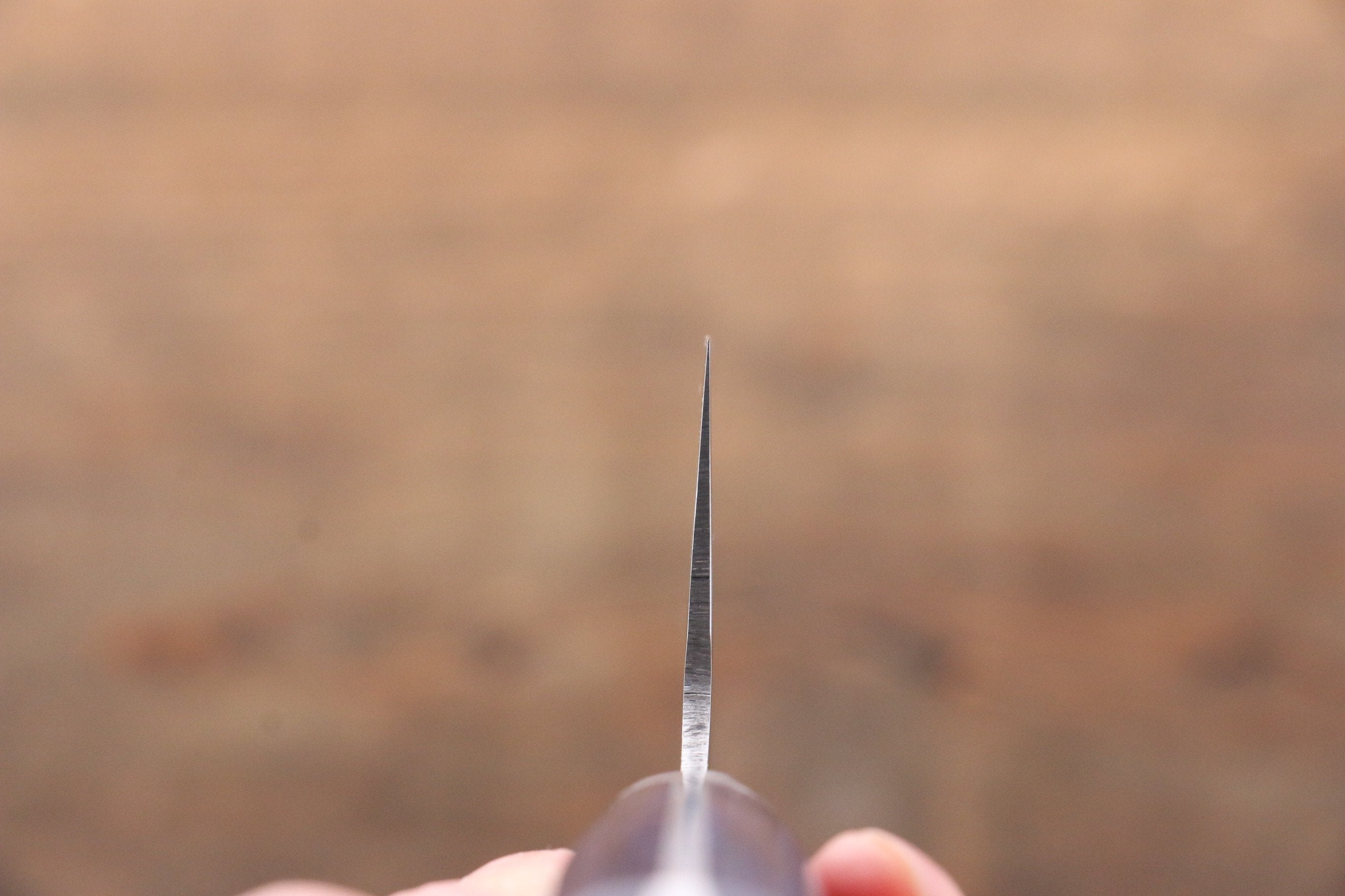 Seisuke Aotsuchi AUS10 Hammered Kiritsuke Santoku 195mm Blue Pakka wood Handle with Sheath - Seisuke Knife