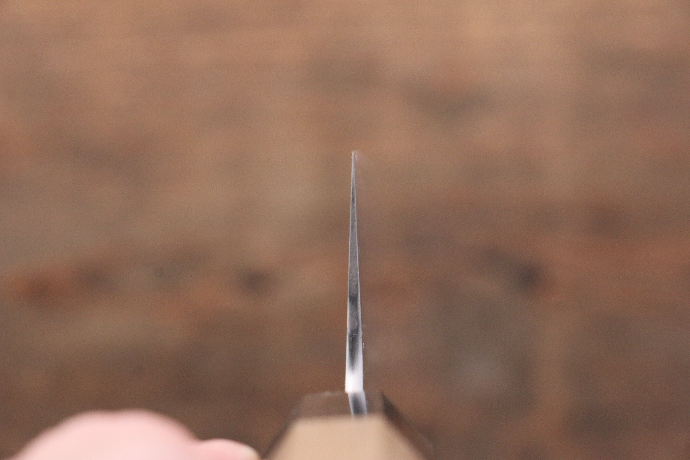 Sukenari ZDP189 3 Layer Gyuto 270mm Magnolia Handle - Seisuke Knife