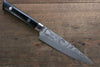 Takeshi Saji VG10 Black Damascus Petty-Utility 135mm Black Micarta Handle - Seisuke Knife - Slide 1