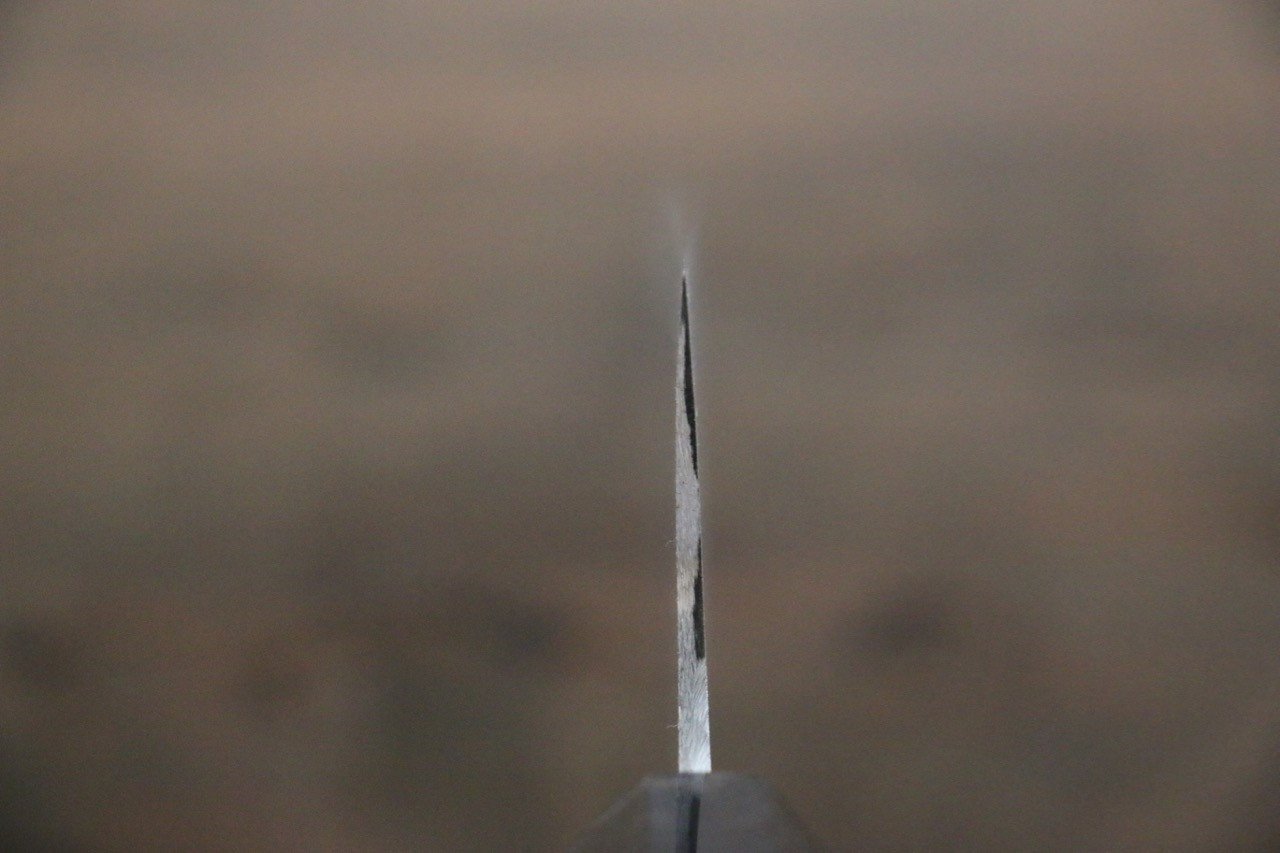 Takeshi Saji SG2 Black Damascus Gyuto 240mm Ebony Wood Handle - Seisuke Knife