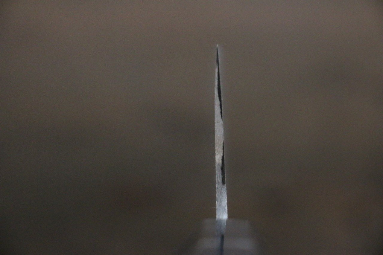 Takeshi Saji SG2 Black Damascus Gyuto 210mm Ebony Wood (with Silver Ring) Handle - Seisuke Knife