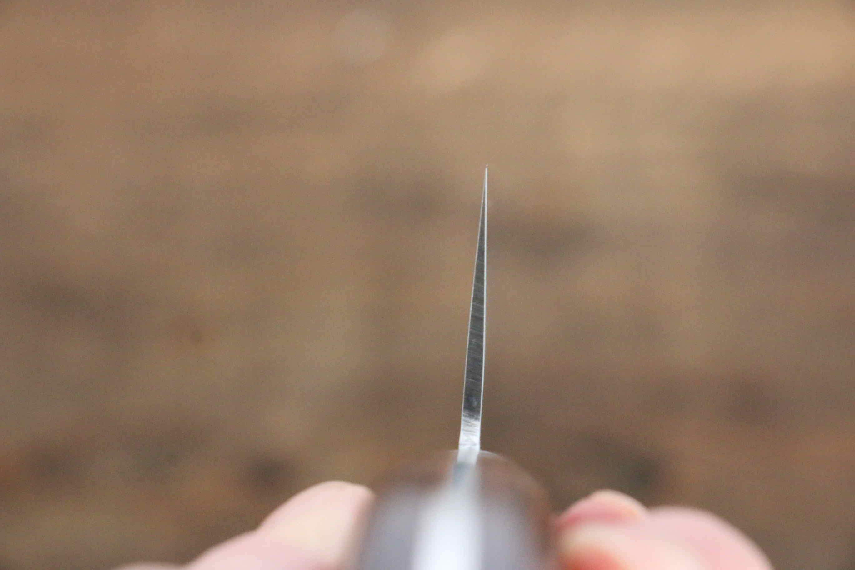 Jikko VG10 17 Layer Gyuto  210mm Mahogany Handle - Seisuke Knife