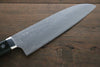 Takeshi Saji VG10 Damascus Santoku 180mm Black Micarta Handle - Seisuke Knife - Slide 3