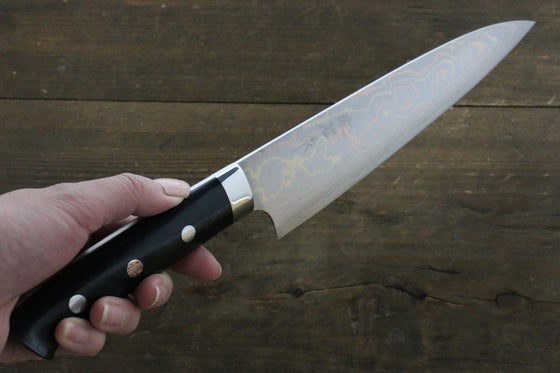 Takeshi Saji Blue Steel No.2 Gyuto 180mm Black Micarta Handle - Seisuke Knife