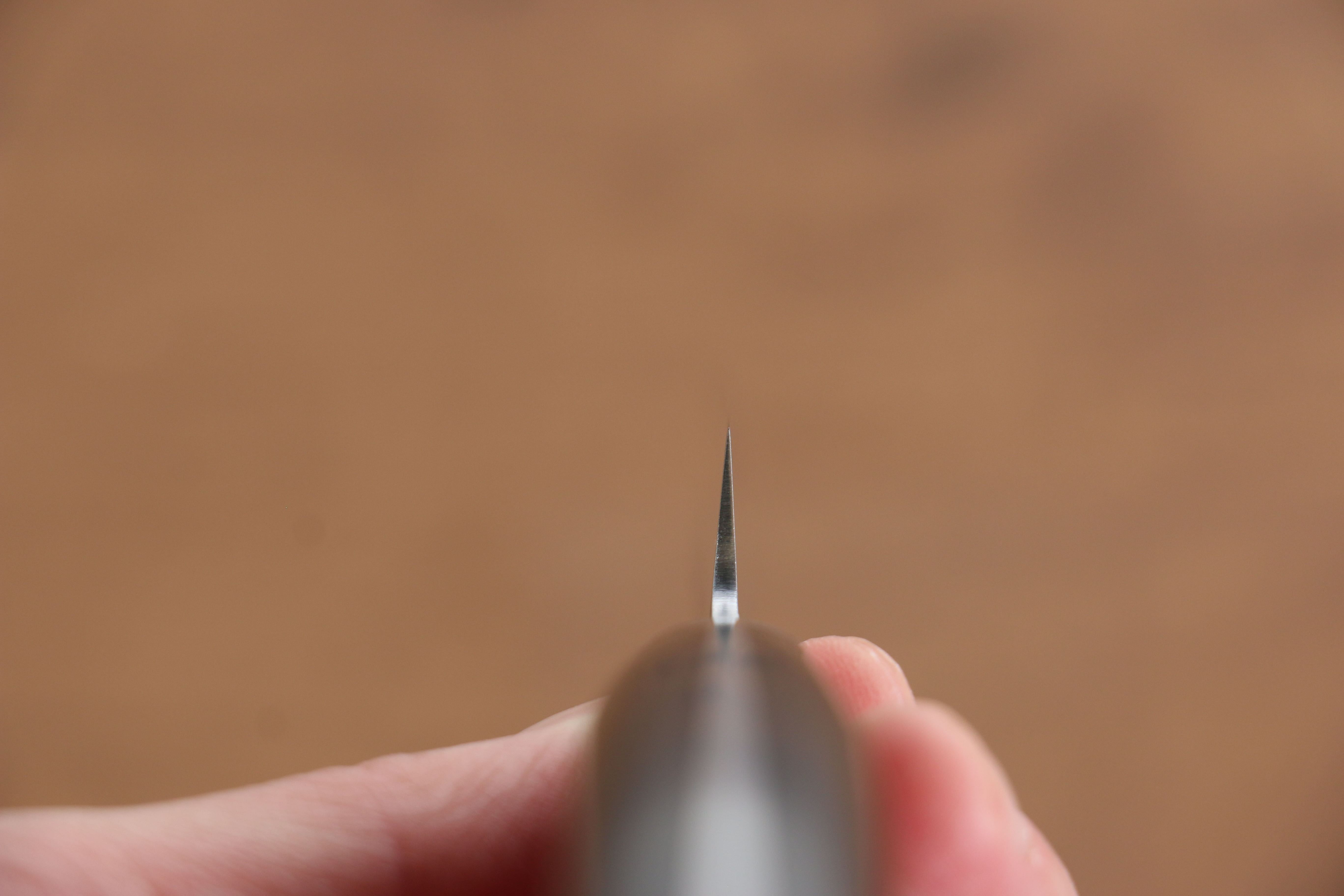 Seisuke PRO-J VG10 Hammered Petty-Utility 120mm Black Micarta Handle - Seisuke Knife