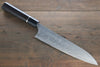 Takeshi Saji SG2 Diamond Finish Damascus Gyuto 210mm Ebony Wood Handle - Seisuke Knife - Slide 1