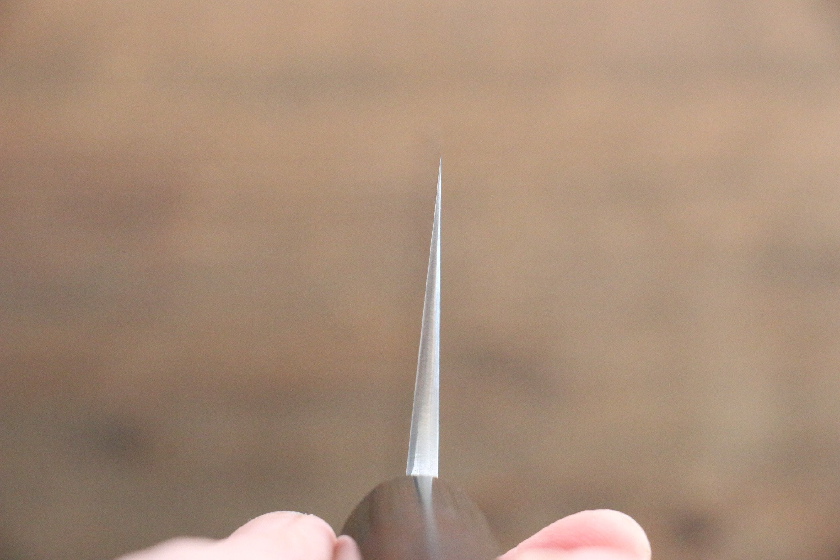 Shungo Ogata White Steel No.2 Damascus Nakiri 165mm Shitan Handle - Seisuke Knife