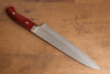 Takeshi Saji SRS13 Hammered Gyuto 240mm Red Micarta Handle - Seisuke Knife - Slide 2