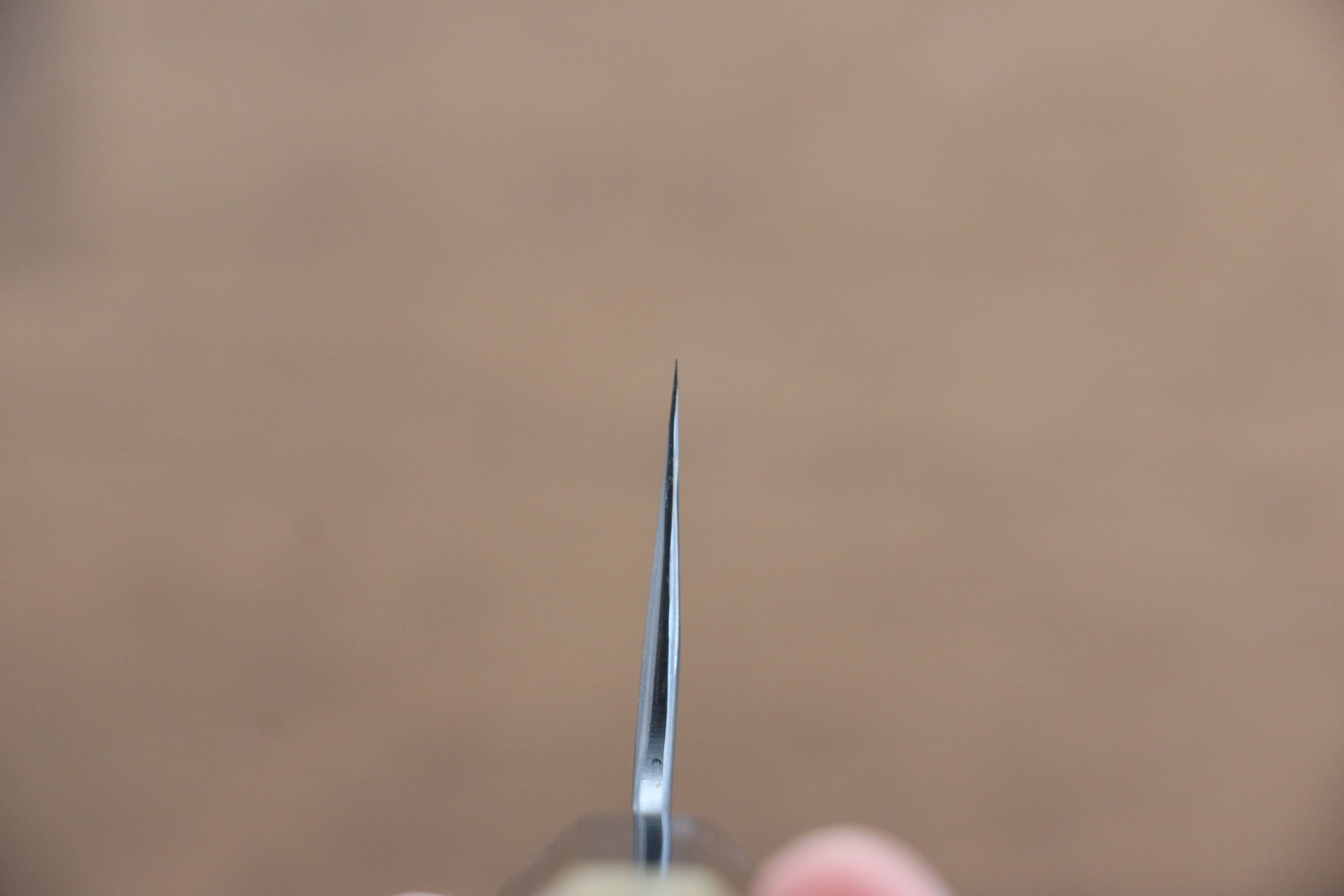 Kikuzuki White Steel No.2 Kasumitogi Gyuto 210mm Magnolia Handle - Seisuke Knife