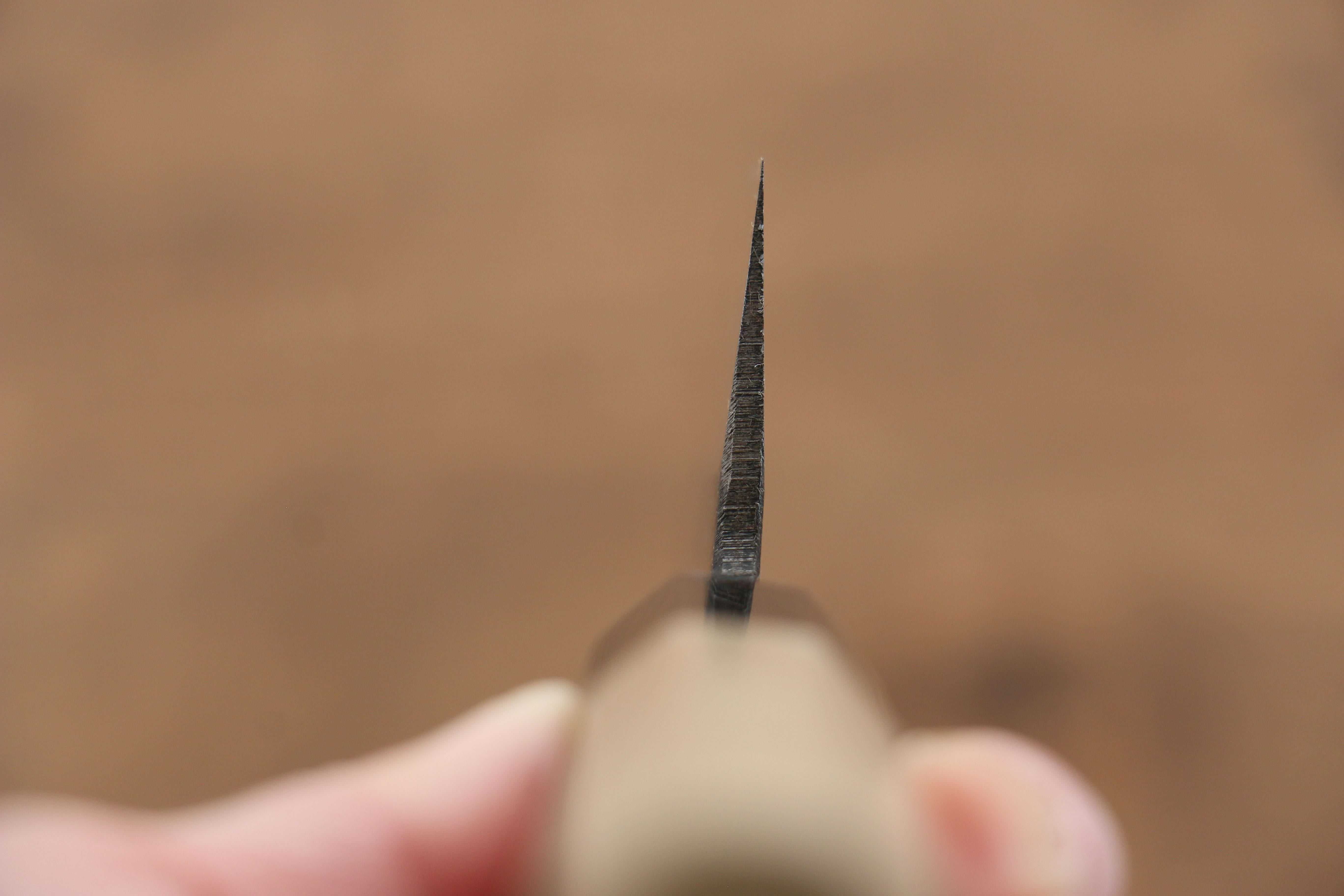Kikuzuki White Steel No.2 Black Finished Gyuto 210mm with Magnolia Handle - Seisuke Knife
